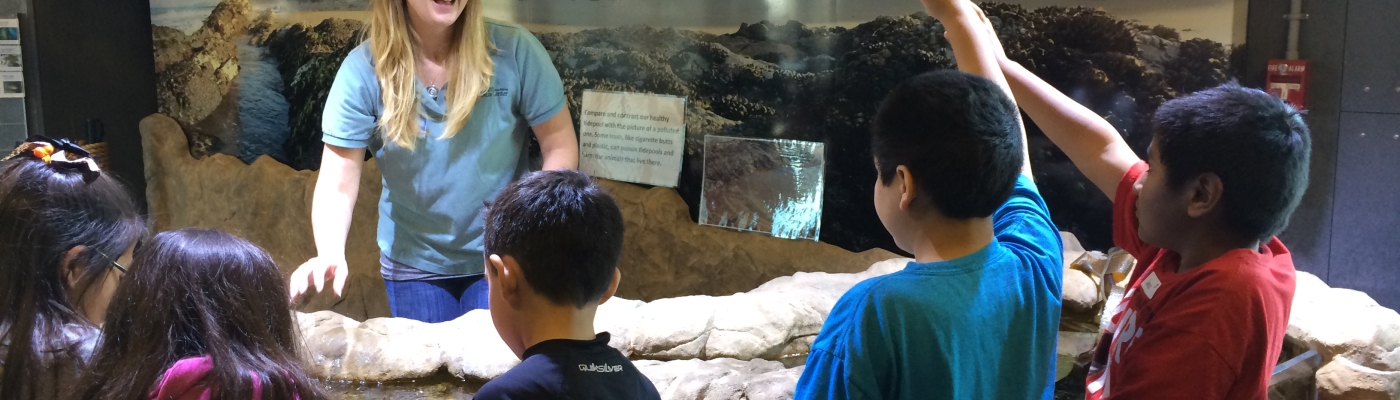 Children learn about marine debris at the Santa Barbara museum.