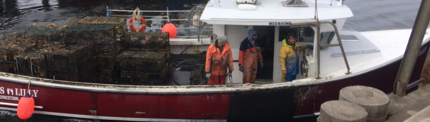 A pile of recovered lobster traps on the back of a docked vessel.