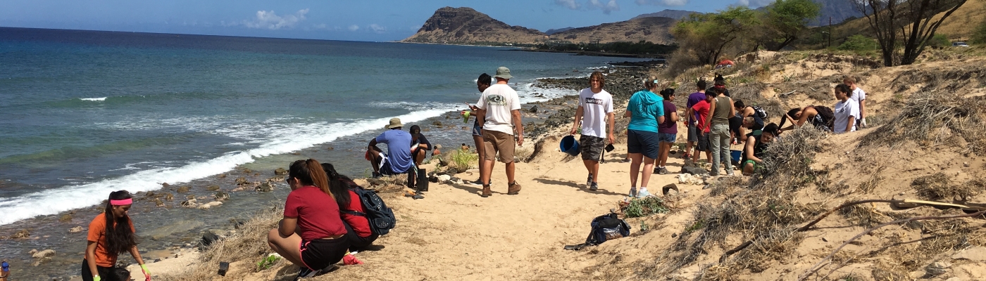 Community volunteers cleaning up a beach.