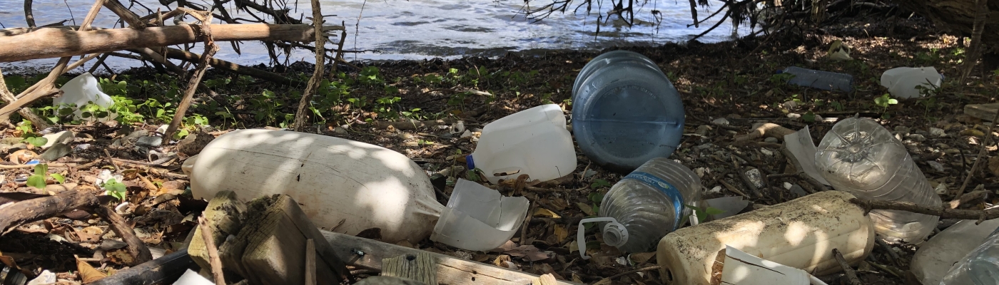 Marine debris accumulation in a mangrove forest in the U.S. Virgin Islands (Photo: Kristin Wilson Grimes, University of the Virgin Islands).