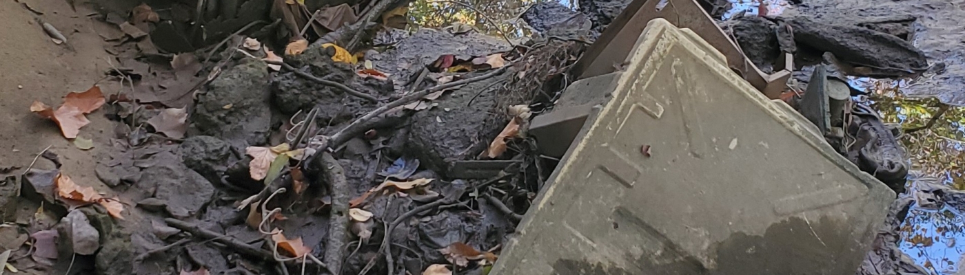 Metal debris stuck in the sediment of a muddy creek surrounded by fallen branches and leaves.