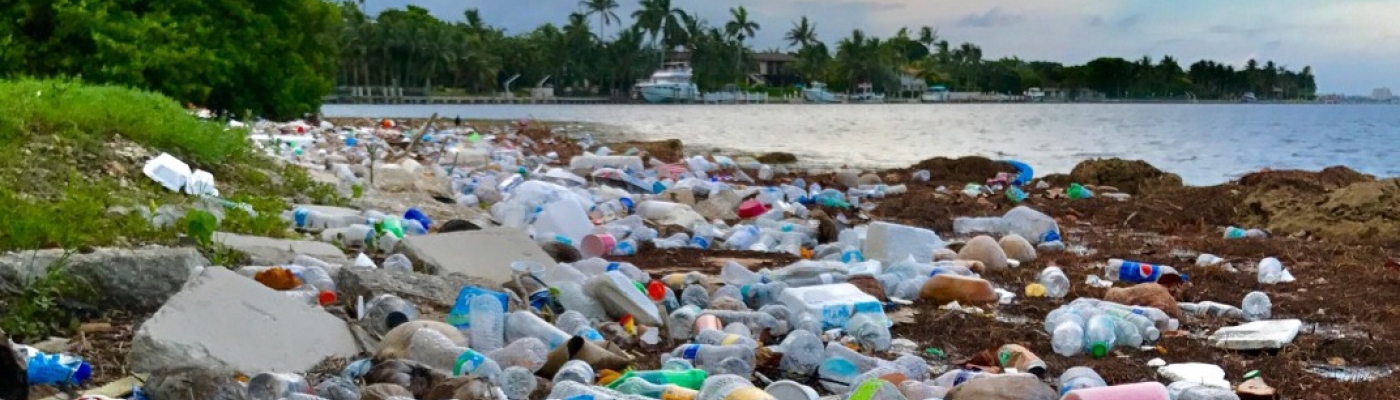 A shoreline covered in plastic bottles and other marine debris.