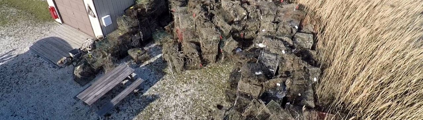 A pile or derelict crab traps next to a shed.