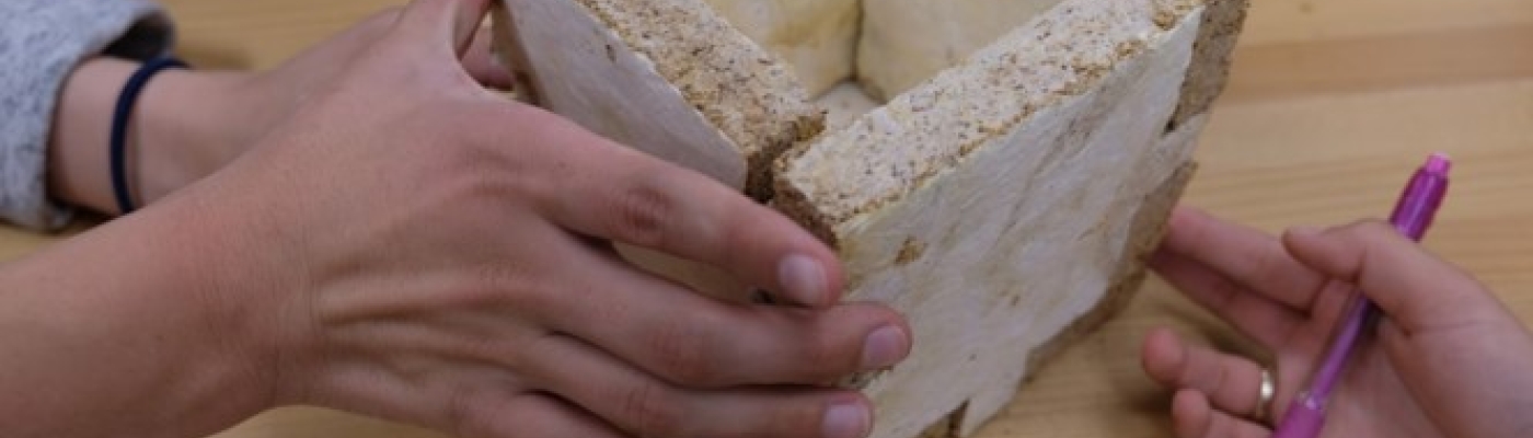 Hands hold up the four sides of a structure made from mycelium fungus.