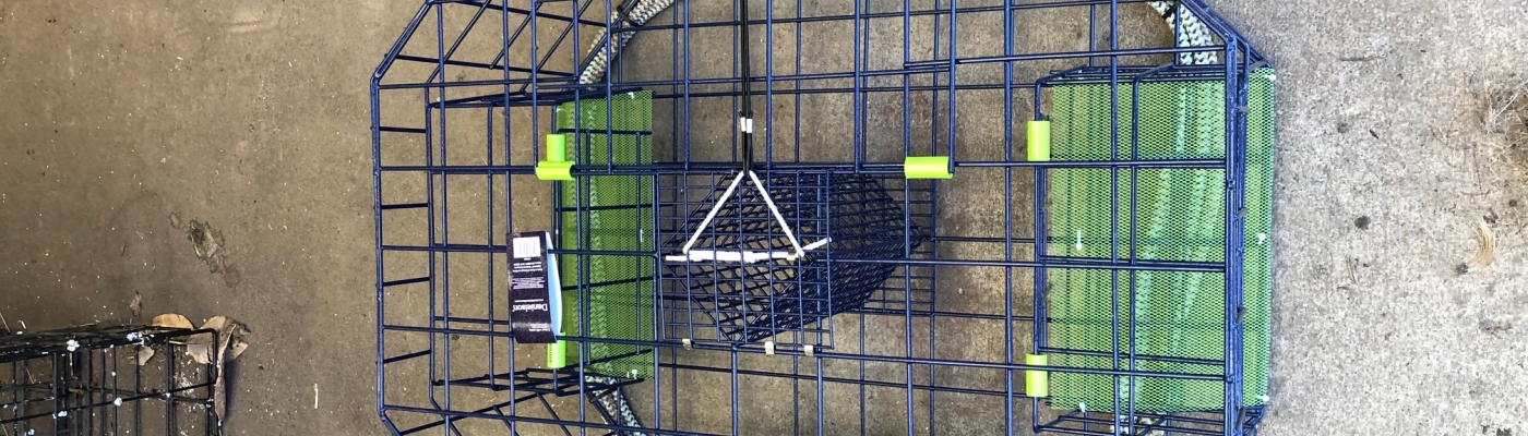 A top down view of a crab pot with three green panels that will dissolve over time.