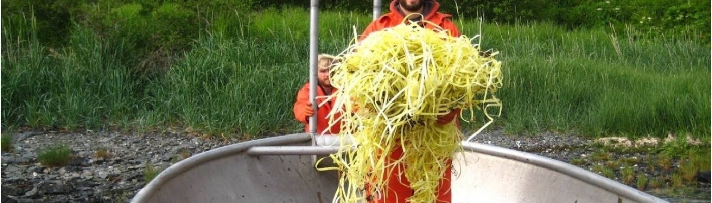 A man dressed in all orange stands in a boat holding a pile of yellow rope.