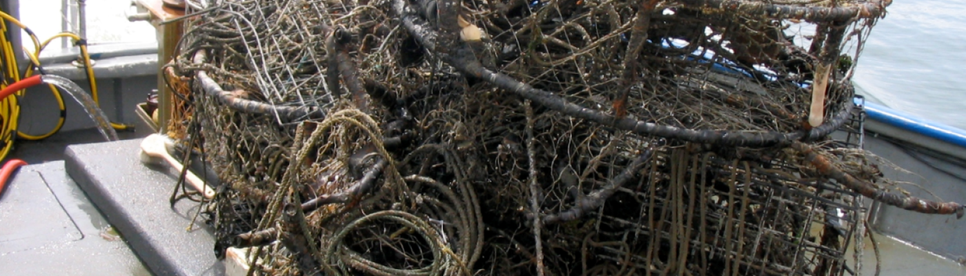 Derelict crab pots. 