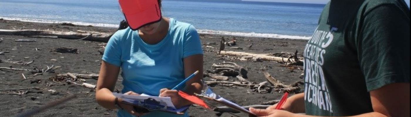 Two people recording on datasheets on a beach.