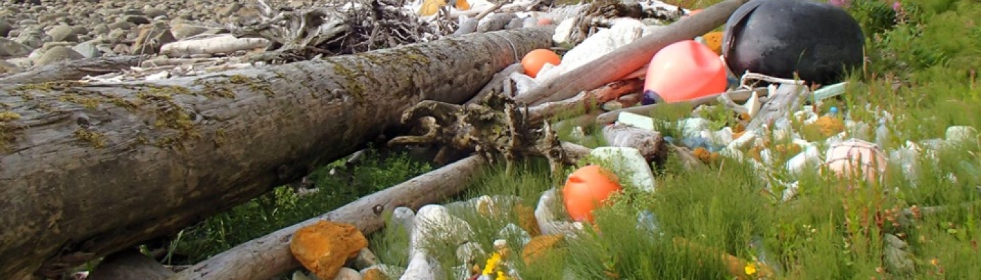 Derelict fishing gear and other marine debris in a grassy area next to a beach.