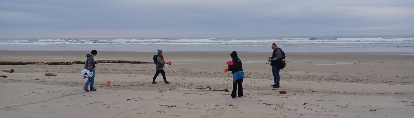 People placing red flags on a beach.