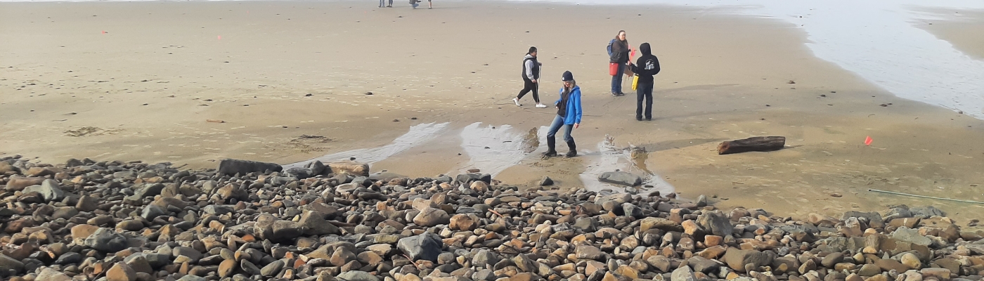 A group of people set up a survey on a beach.