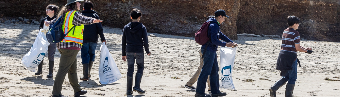 A group of students and their teacher search for debris on a sandy beach.