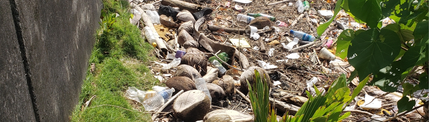 Single-use cups, containers, and other debris along the edge of Pala Lagoon.