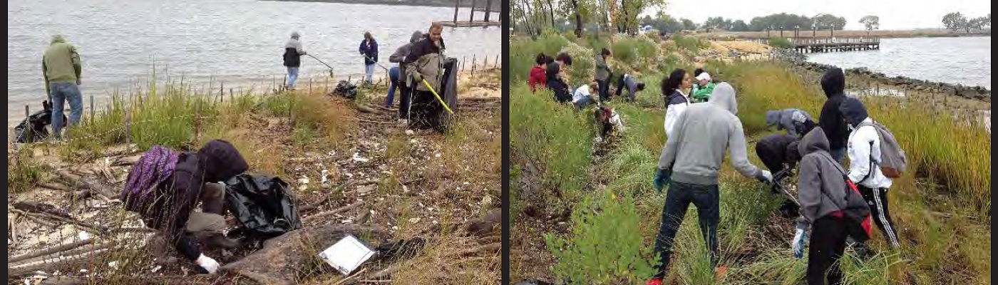 Community volunteers clean up a local shoreline. (Photo Credit: National Aquarium)