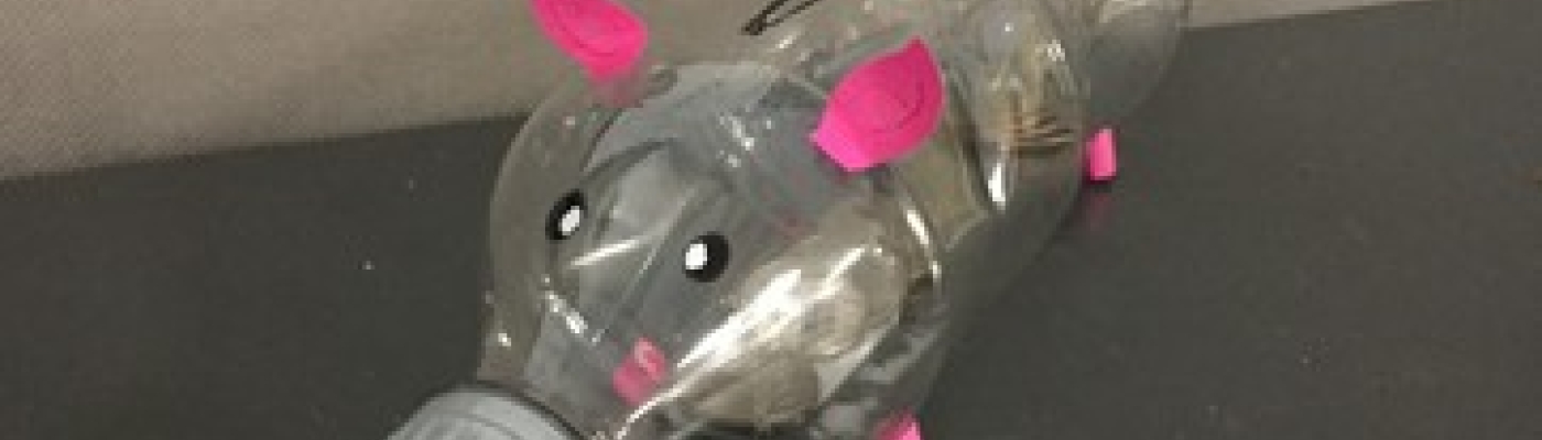 A piggy bank made from a plastic bottle.