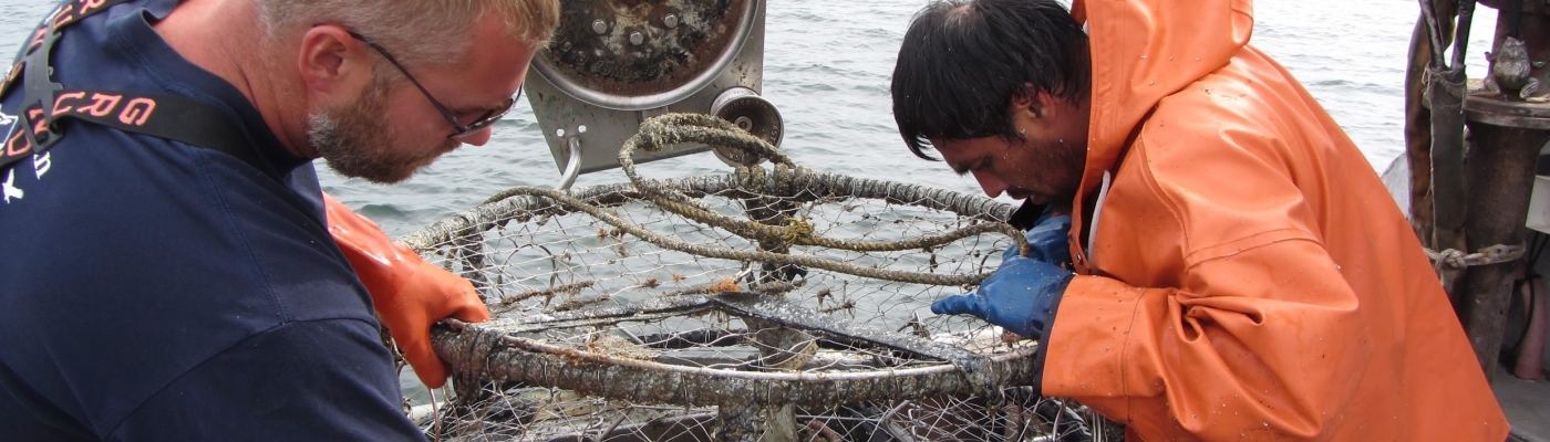 Two people handle a derelict crab pot on a boat.