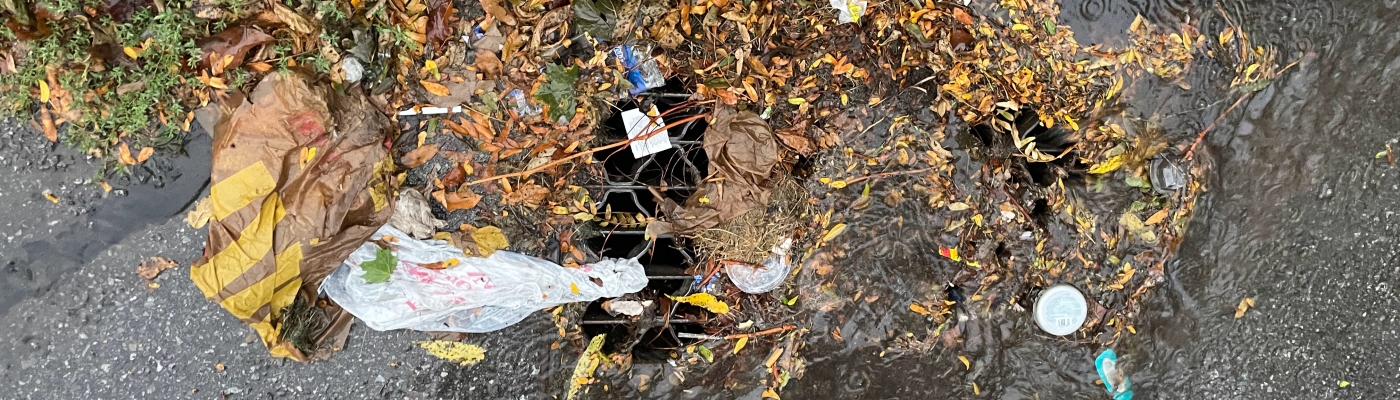 A plastic bag and other trash items mixed with leaf litter accumulate on top of an urban storm drain on a rainy day.