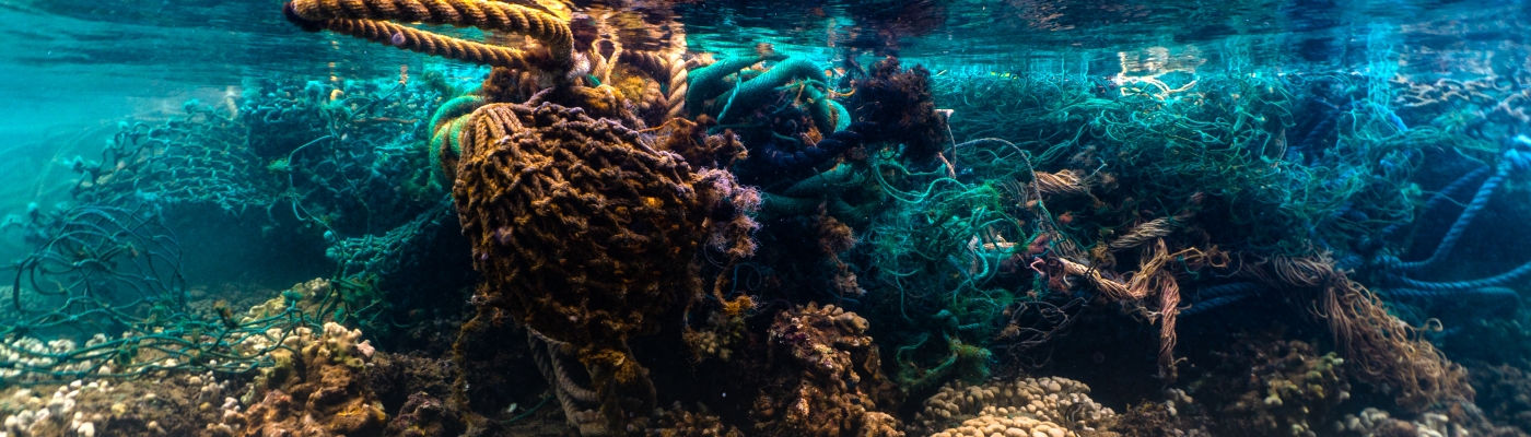 A heavy derelict net on a coral reef.