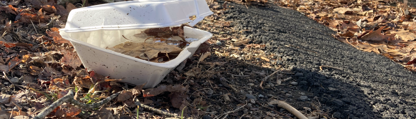A takeout container left on the roadside.