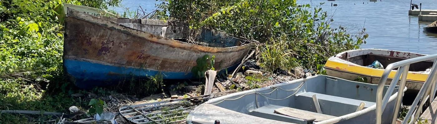 Derelict vessels on a mangrove forest shoreline.