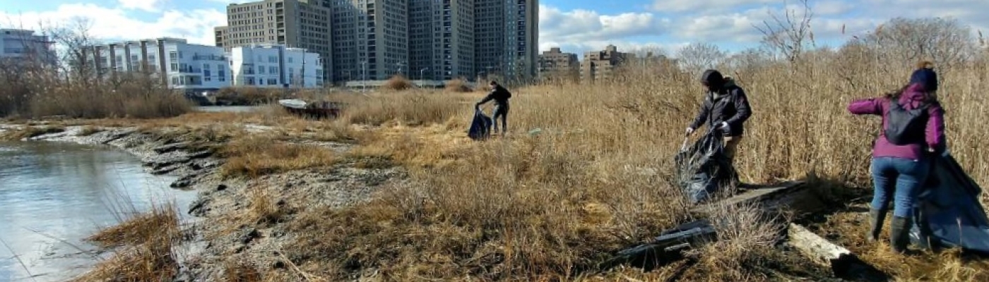 Three people walk along a shoreline that is covered with brown grass. They are collecting debris that floats on the water. Several large buildings can be seen in the background.