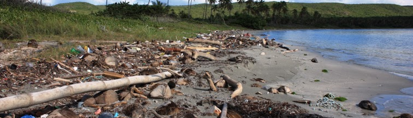 Marine debris mixed with natural debris on a beach shore.