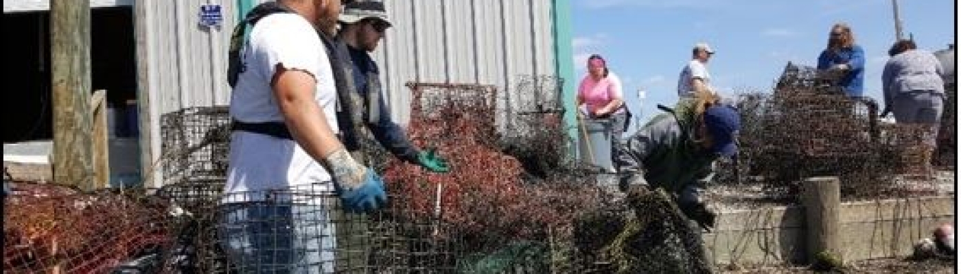 Seven people organize piles of wire crab traps on a pier in Louisiana.