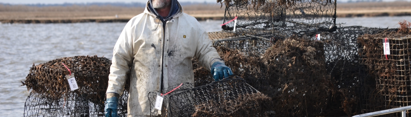 Man with crab pots. 