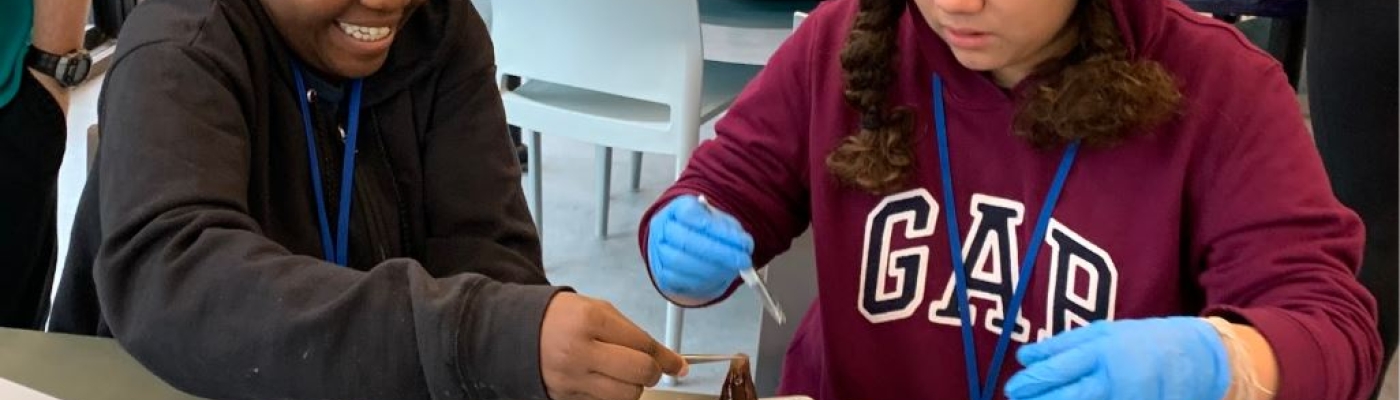 Two students sit at a table with rubber gloves on and holding tweezers to pick up a dead fish.