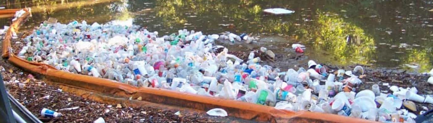 Plastic debris that is collected in a canal.