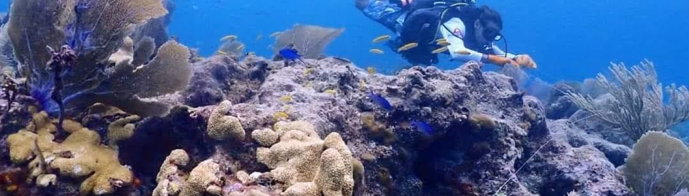 A diver collecting underwater marine debris.