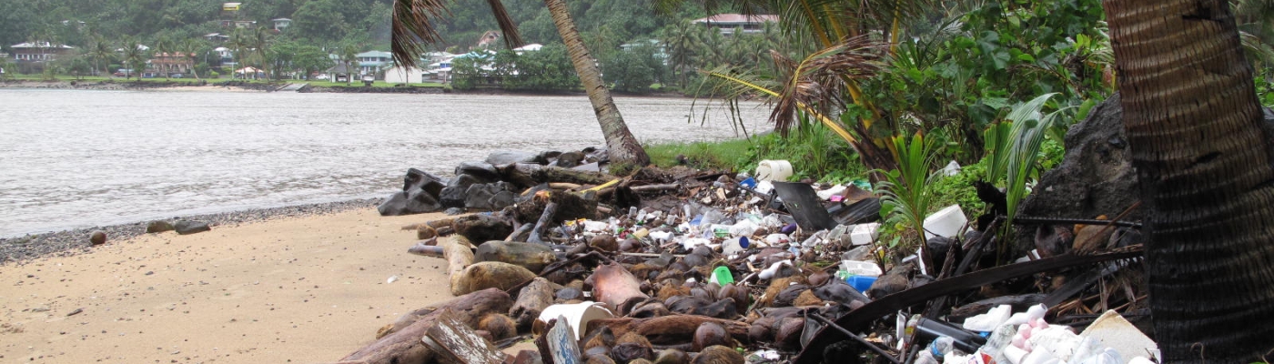 A beach with palm trees, littered with debris.