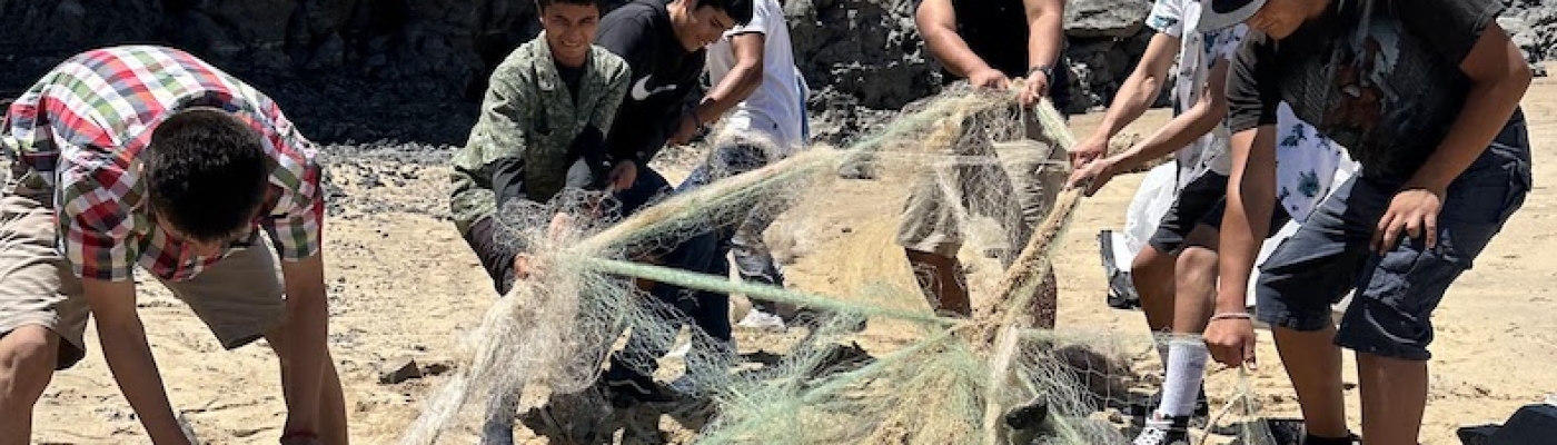 Volunteers removing a derelict fishing net from the shoreline.