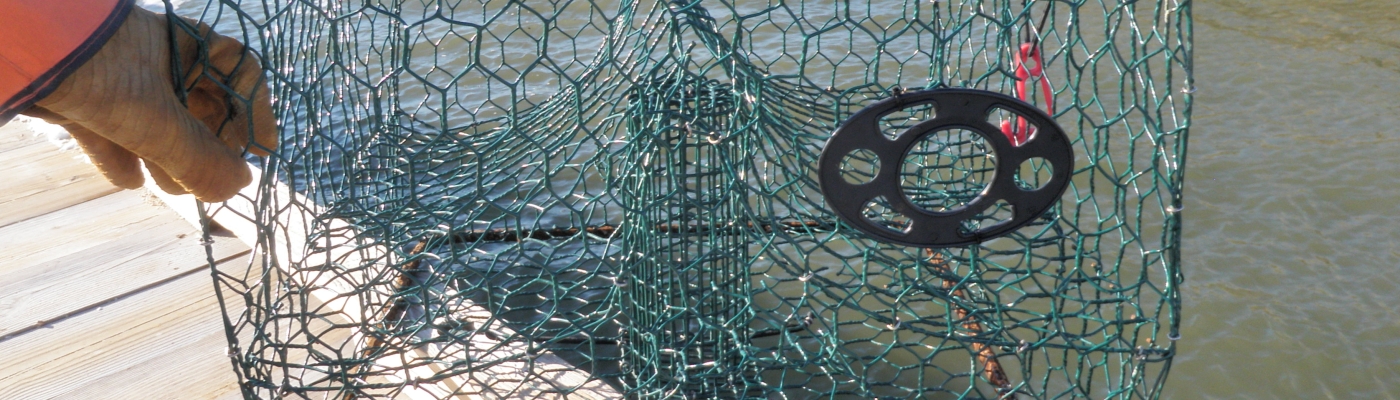 Blue crab trap with biopanel.