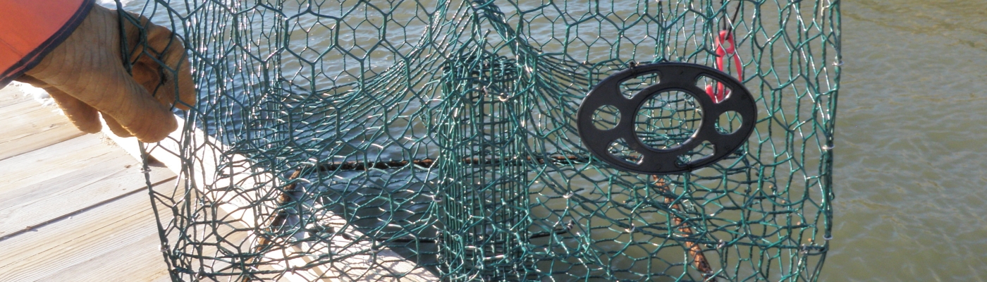 Innovative research aims to prevent derelict fishing trap impacts