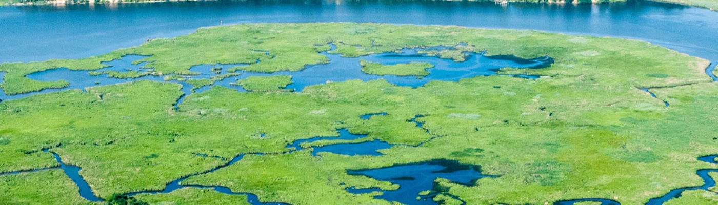Aerial view of the Choptank river.
