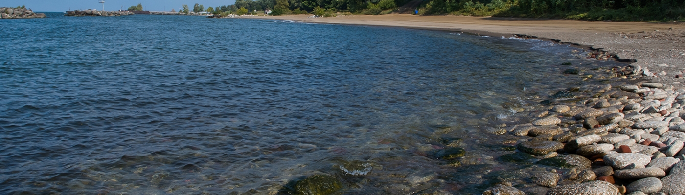 A rocky lake shoreline.