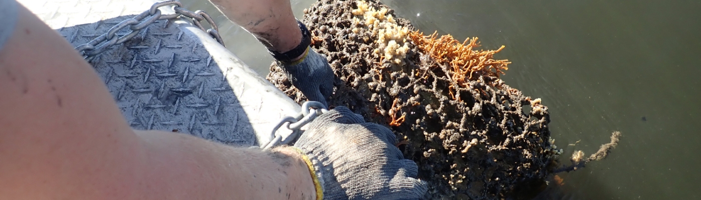 A derelict trap being pulled up out of the water.