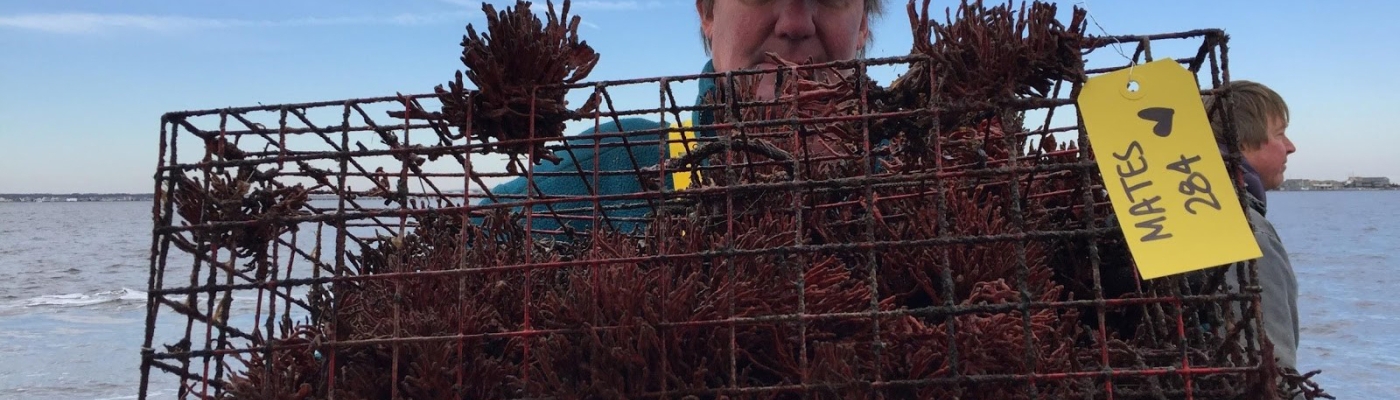 A fisherman holding a derelict crab pot.