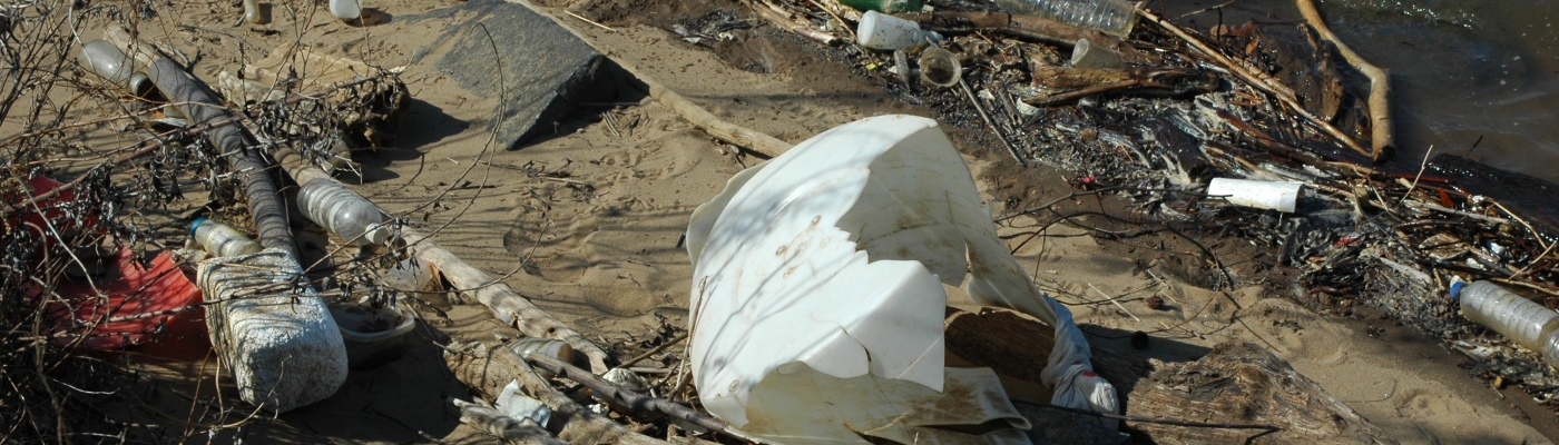 Trash on the Potomac River.