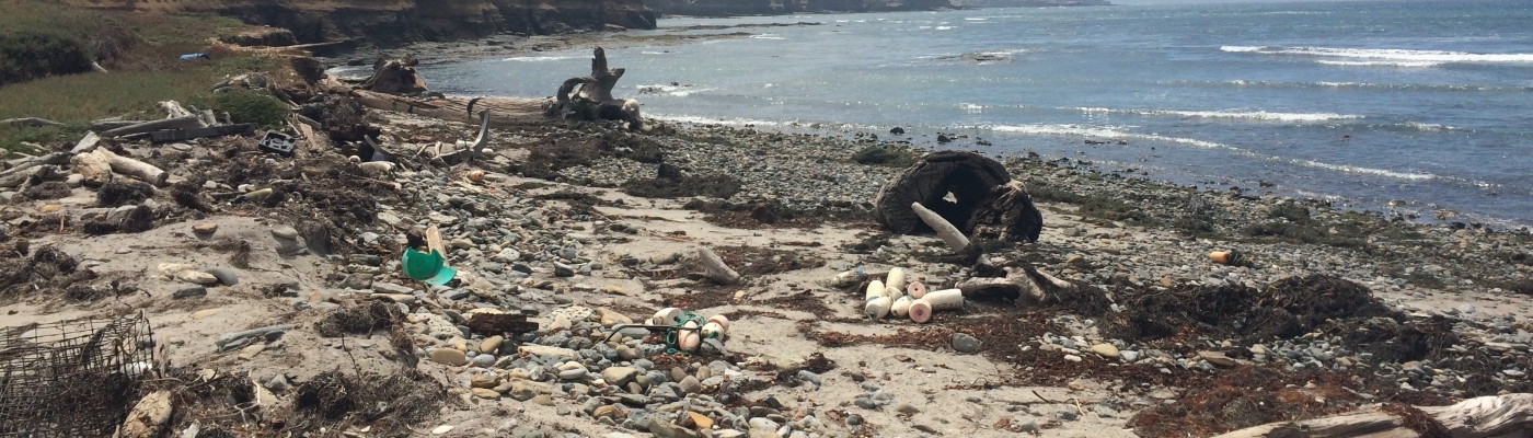 Debris on Tecelote Beach, Santa Rosa Island.