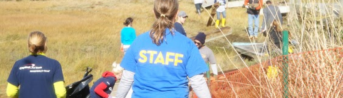 Volunteers remove debris from Long Beach's salt marsh in NY. 