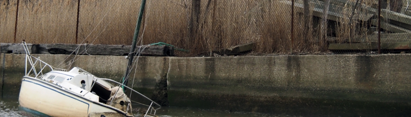 A partially sunken vessel near the water's edge.