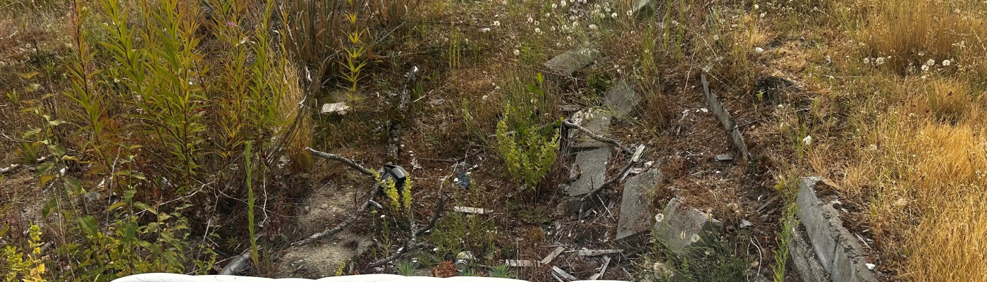 A white mattress lies on the ground in an empty lot with overgrown grasses and weeds.