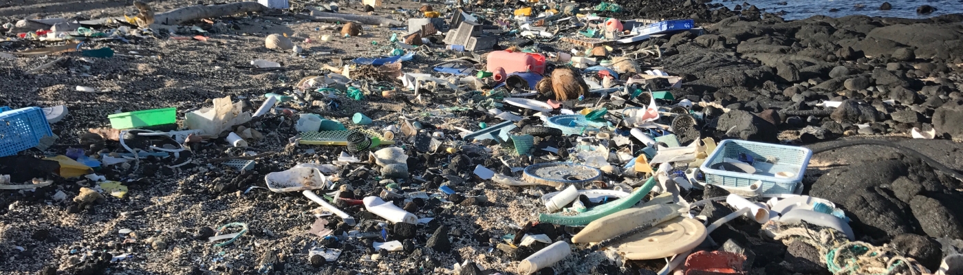 A beach shoreline covered in marine debris.