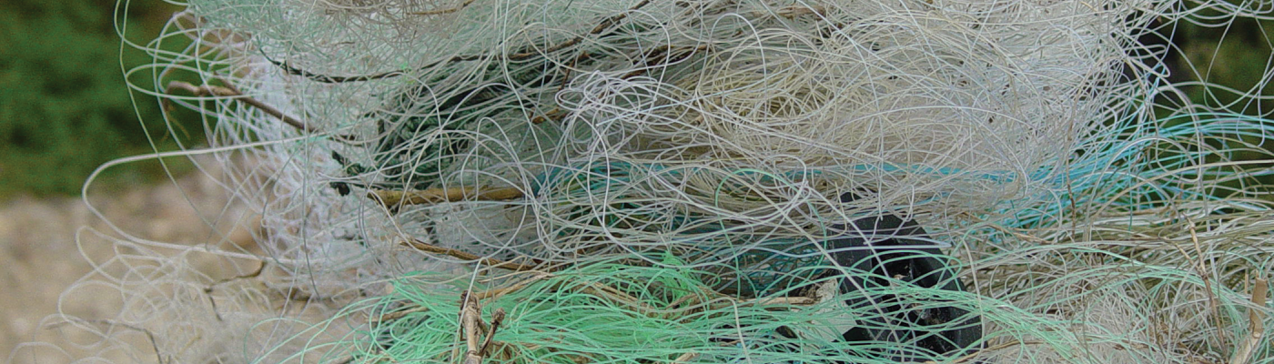 A tangled mass of monofilament fishing line.