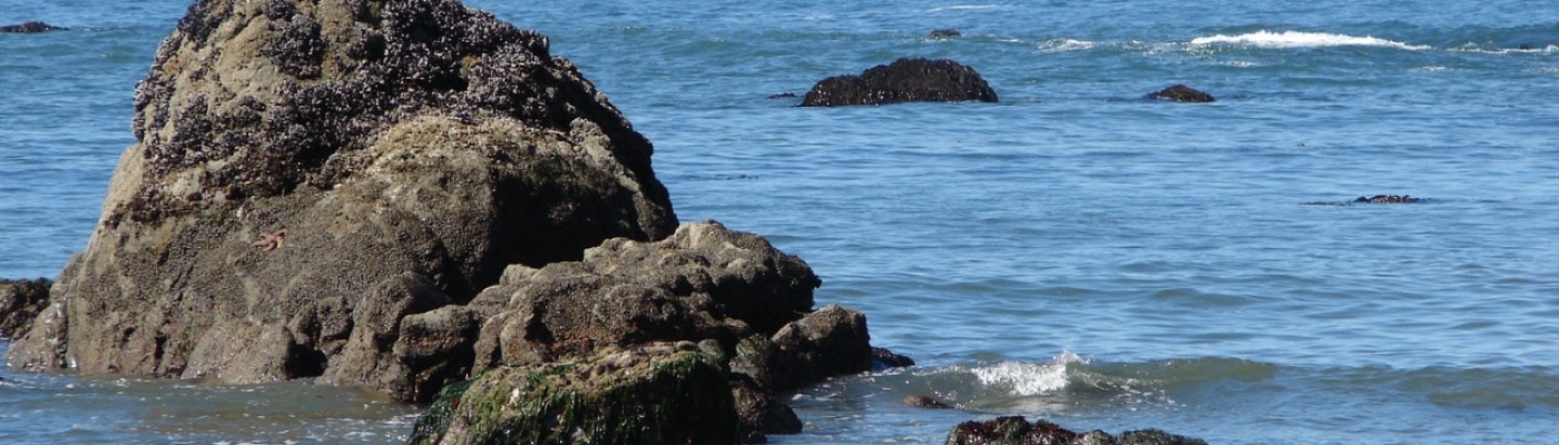 Olympic Coast National Marine Sanctuary