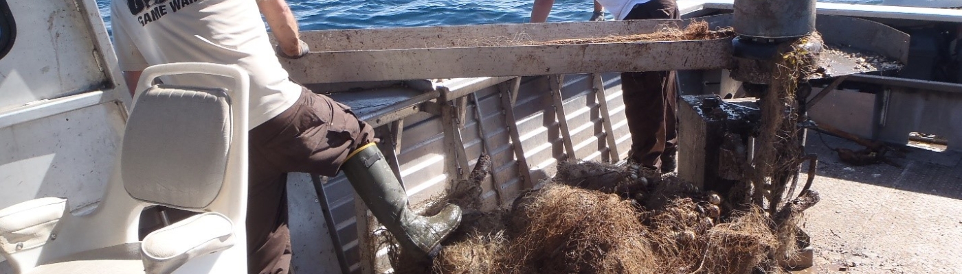 Two people hauling a derelict net onto a boat.