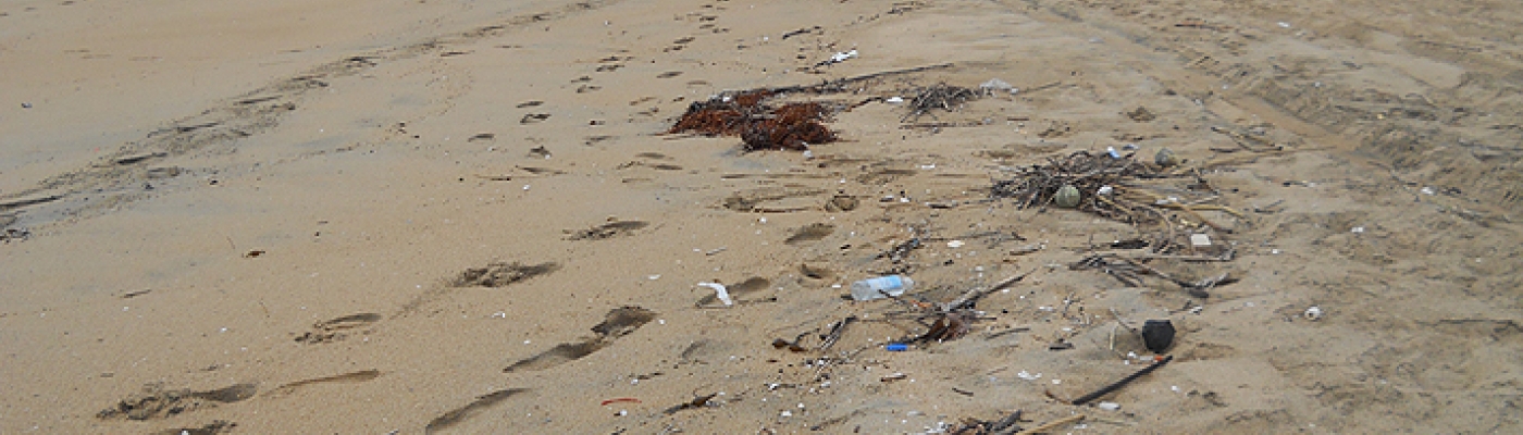 Marine debris on a beach in California. 