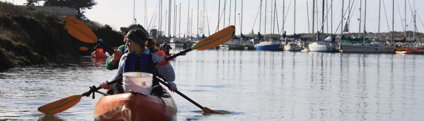 Volunteers kayaking nearshore to clean up debris.
